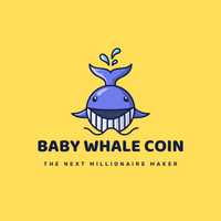 Baby Whale Coin